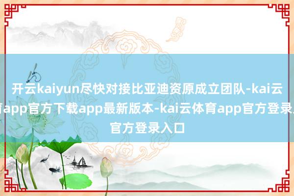 开云kaiyun尽快对接比亚迪资原成立团队-kai云体育app官方下载app最新版本-kai云体育app官方登录入口