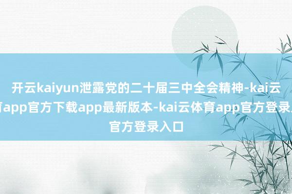 开云kaiyun泄露党的二十届三中全会精神-kai云体育app官方下载app最新版本-kai云体育app官方登录入口