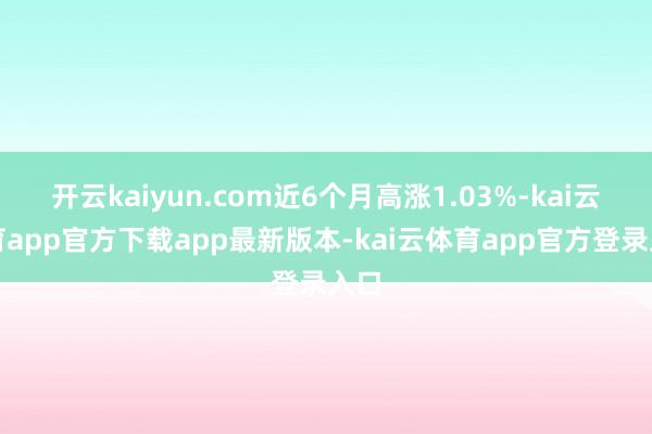 开云kaiyun.com近6个月高涨1.03%-kai云体育app官方下载app最新版本-kai云体育app官方登录入口