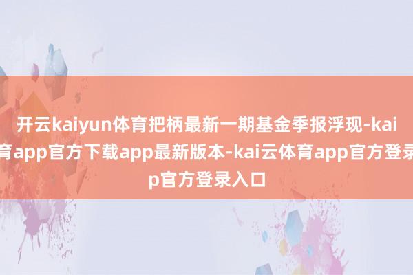 开云kaiyun体育把柄最新一期基金季报浮现-kai云体育app官方下载app最新版本-kai云体育app官方登录入口